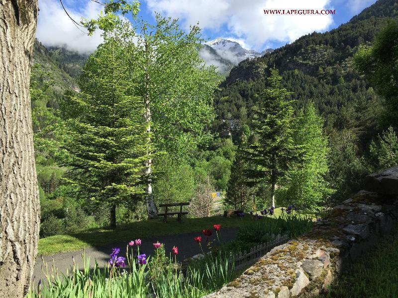 Apartaments La Peguera Боі Екстер'єр фото
